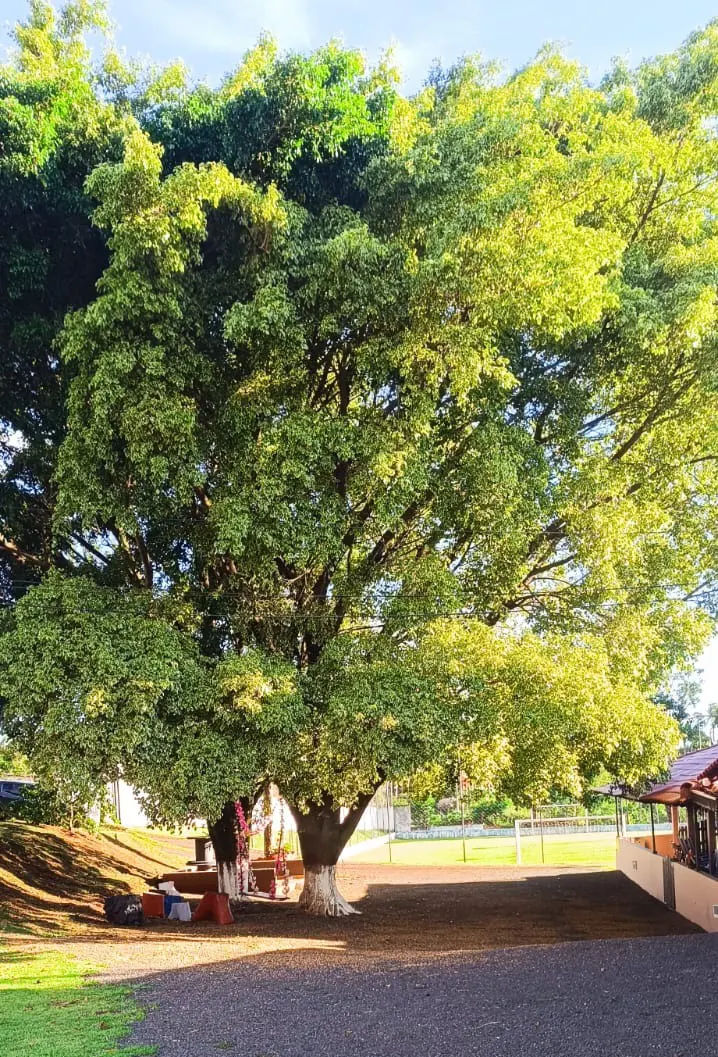 Natureza