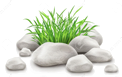pedras